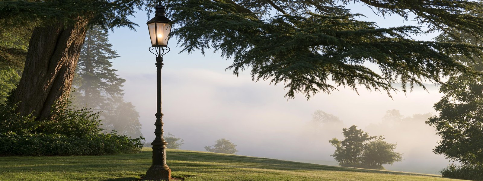Tall cast iron gaslight street lamp on a corner under old cedar elms, low mist lying in the early morning, the mist beyond it clear and unbroken across the frame